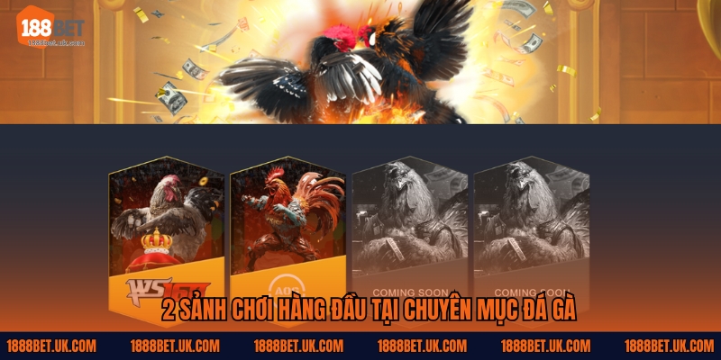 2 sảnh chơi hàng đầu tại chuyên mục Đá gà