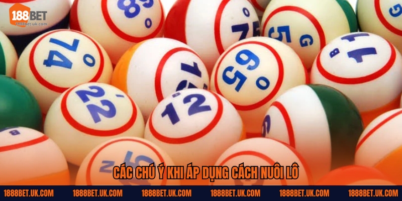 Các chú ý khi áp dụng cách nuôi lô