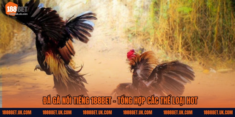Đá Gà Nổi Tiếng 188Bet – Kịch Bản Đa Dạng, Giải Trí Cực Đã