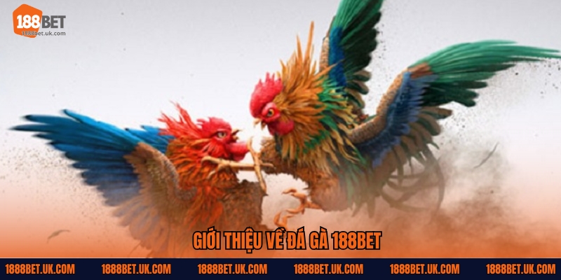 Giới thiệu về Đá gà 188Bet