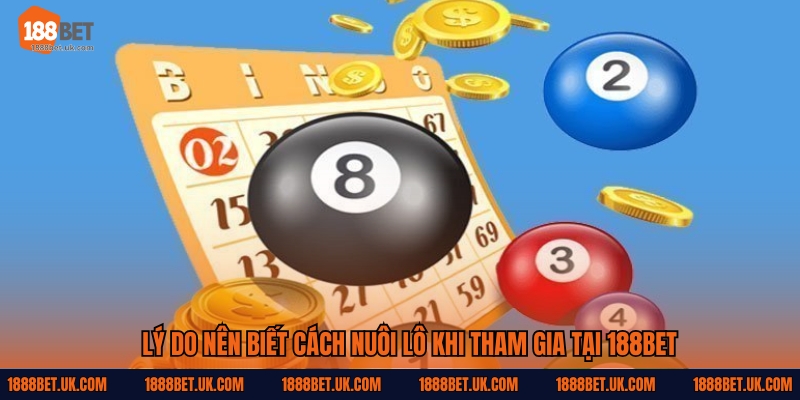 Lý do nên biết cách nuôi lô khi tham gia tại 188Bet