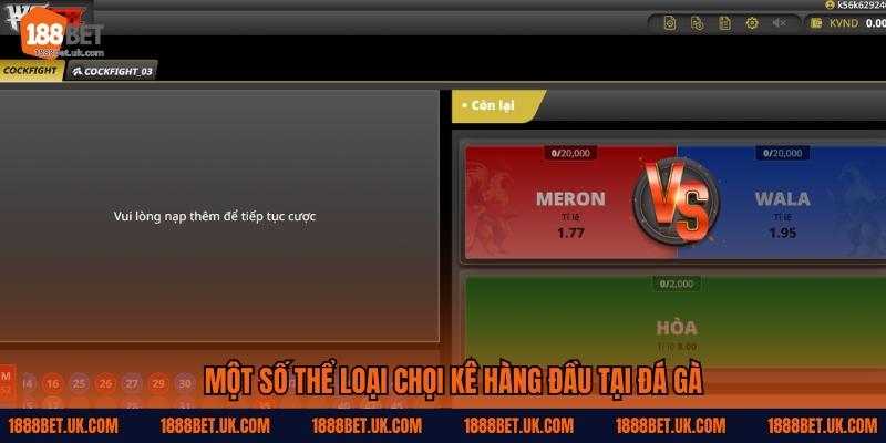 Một số thể loại chọi kê hàng đầu tại chuyên mục Đá gà