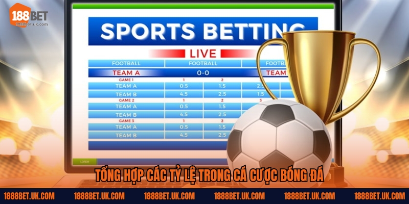 Tổng hợp các tỷ lệ trong cá cược bóng đá